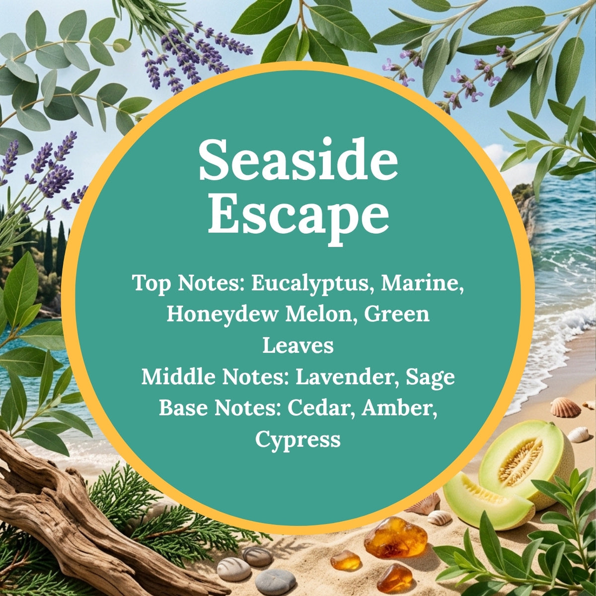 seaside escape infographic; scent notes eucalyptus, marine, honeydew melon, green leaves, lavender, sage, cedar, amber, cypress