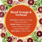 Blood Orange & Verbena scent infographic: top notes of grapefruit, orange peel, and lemon peel; middle notes of green leaves, lemon verbena, orange, lemon, and pomegranate; base notes of vetiver and cedar, over a bright citrus flat-lay.