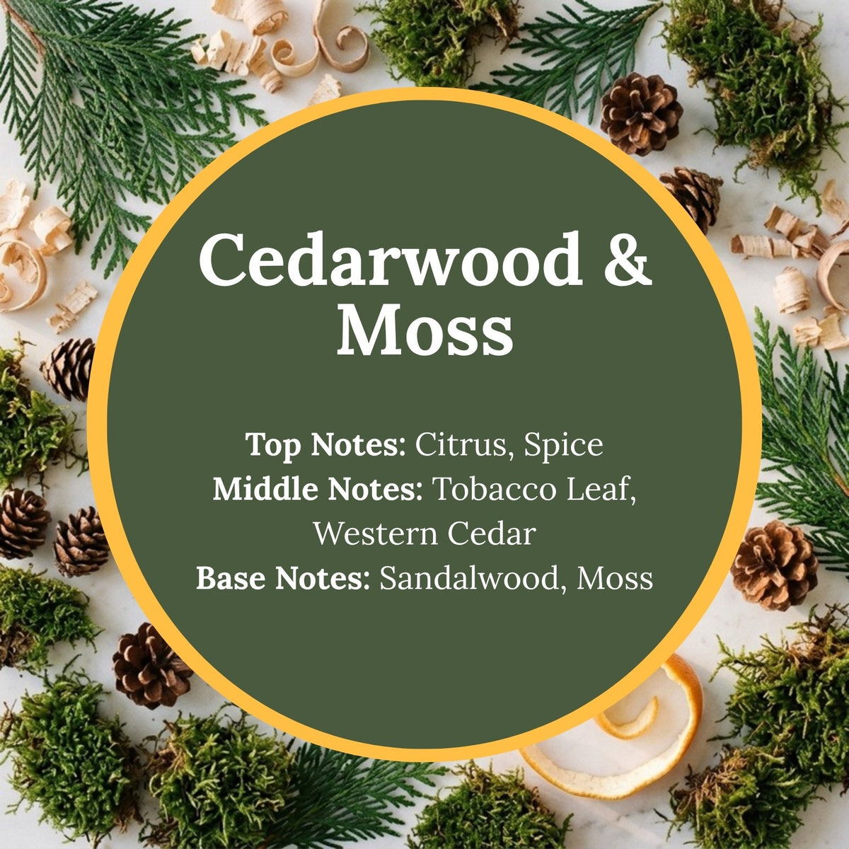 Cedarwood & Moss scent infographic: top notes of citrus and spice; middle notes of tobacco leaf and western cedar; base notes of sandalwood and moss, over an earthy flat-lay of cedar sprigs, pinecones, wood shavings, and green moss.