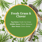 Fresh Grass & Clover scent infographic: top note of fresh cut grass, middle note of clover blossom, base note of green stems, over a vibrant flat-lay of green grass blades and white clover blossoms.