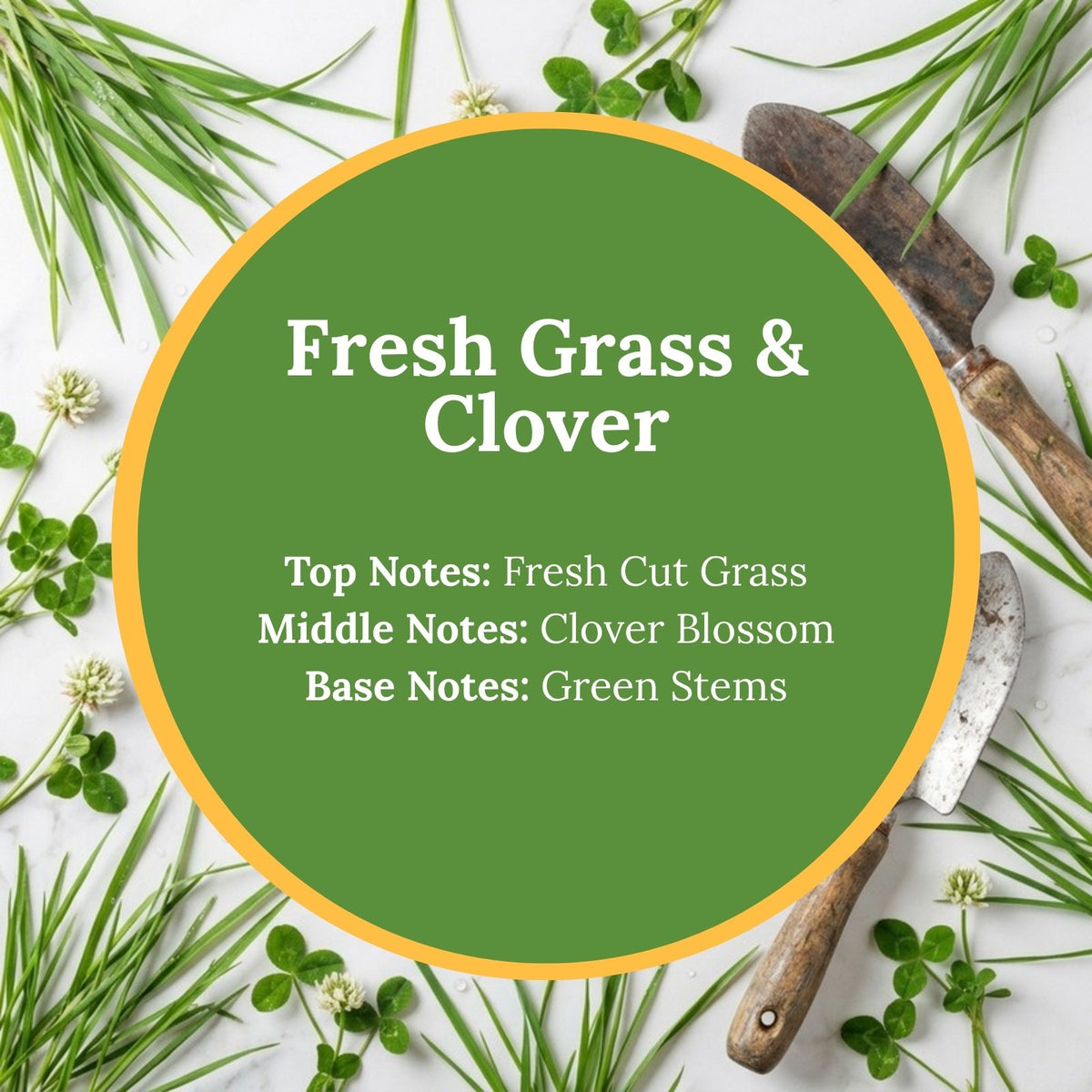 Fresh Grass & Clover scent infographic: top note of fresh cut grass, middle note of clover blossom, base note of green stems, over a vibrant flat-lay of green grass blades and white clover blossoms.