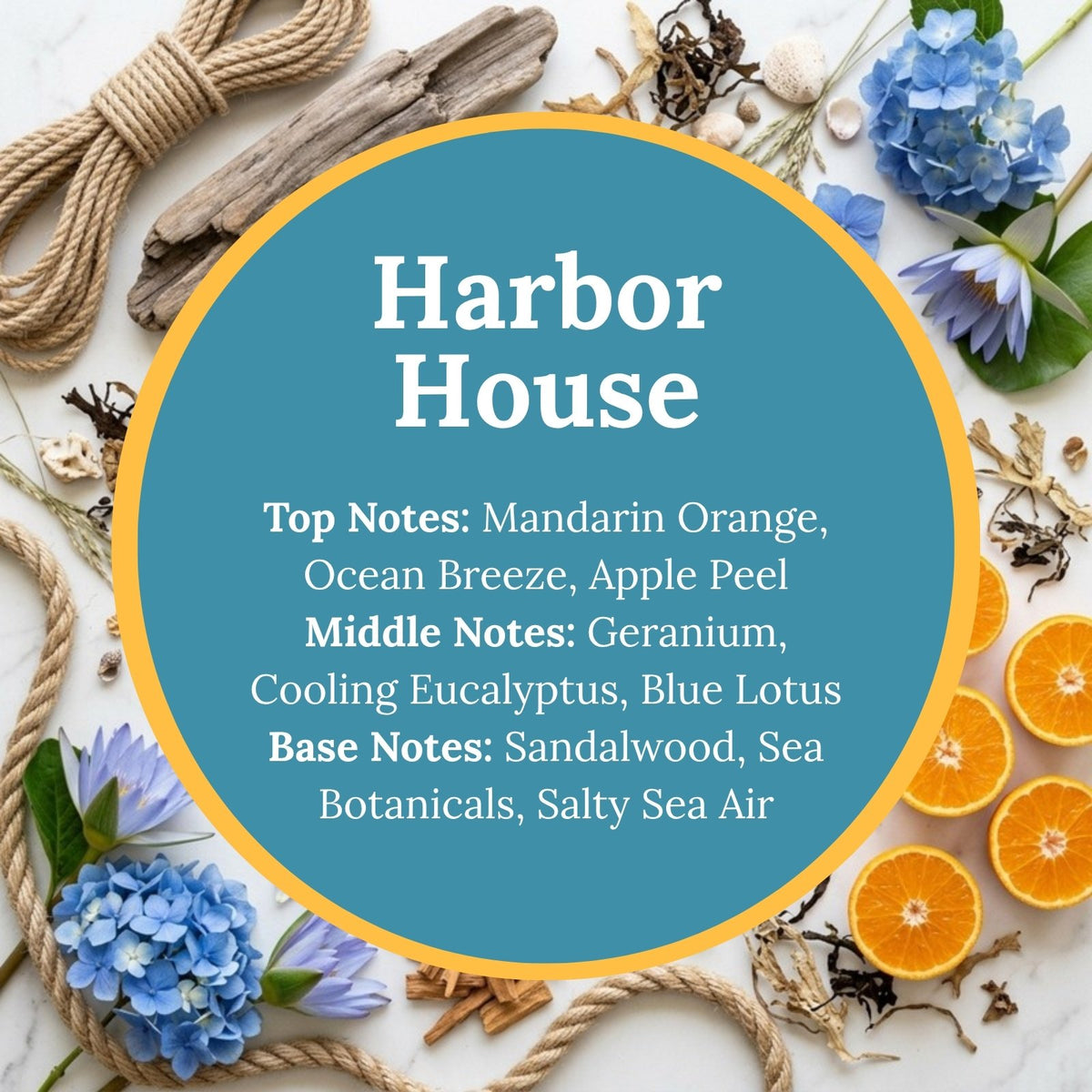 Harbor House scent infographic: top notes of mandarin orange, ocean breeze, and apple peel; middle notes of geranium, cooling eucalyptus, and blue lotus; base notes of sandalwood, sea botanicals, and salty sea air, over a coastal flat-lay of rope, driftwood, shells, and blue hydrangea.