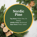 Nordic Pine scent infographic: top notes of white pine and fir balsam; middle note of birchwood; base notes of musk and amber, over a flat-lay of fresh pine and fir branches, curled birch bark, a birchwood log, and amber resin pieces.
