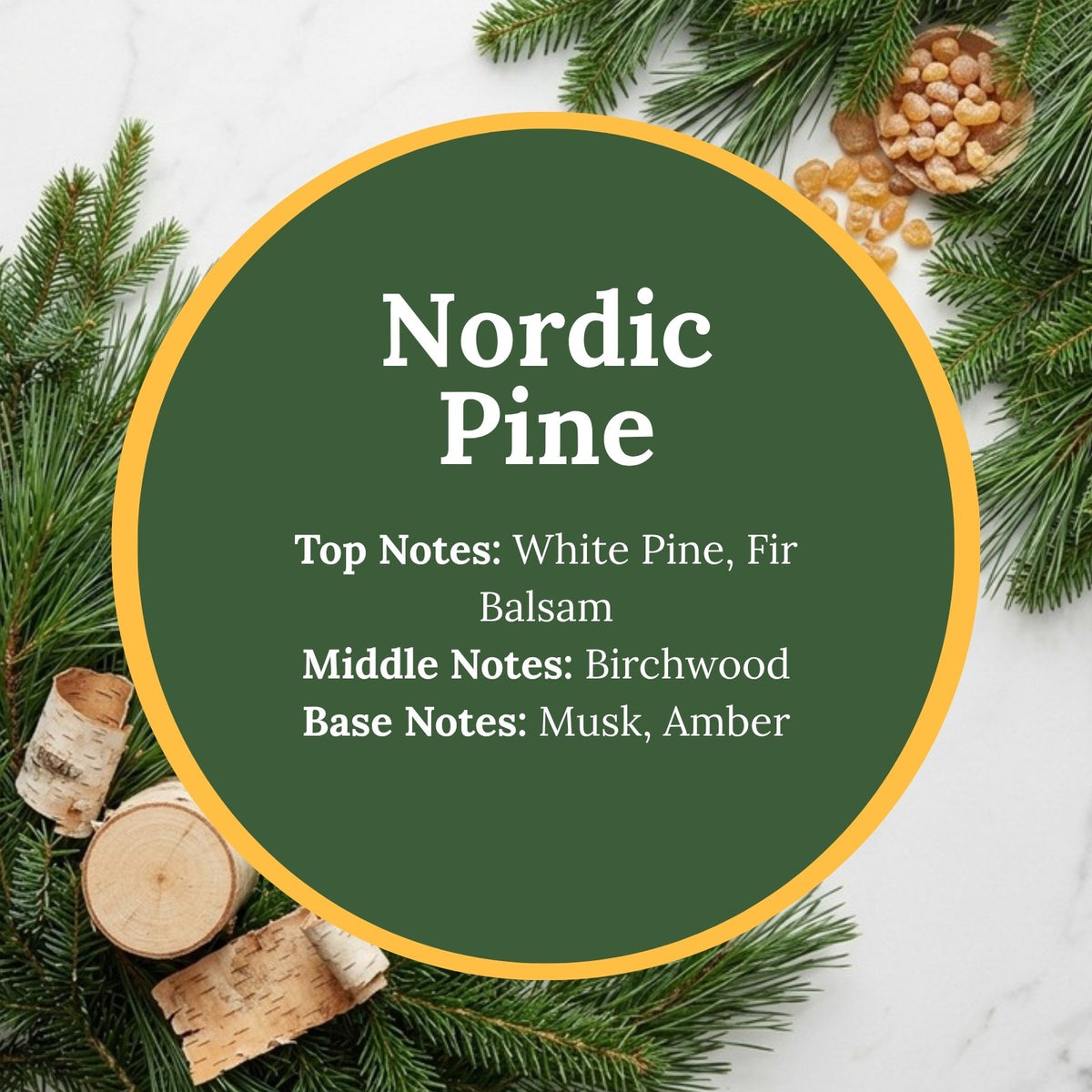 Nordic Pine scent infographic: top notes of white pine and fir balsam; middle note of birchwood; base notes of musk and amber, over a flat-lay of fresh pine and fir branches, curled birch bark, a birchwood log, and amber resin pieces.