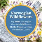 A circular graphic with a blue center and yellow border reading 'Norwegian Wildflowers' and listing top, middle, and base notes, surrounded by wildflowers, greenery, a glass bottle, and a knitted textile on a light background.