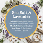 Sea Salt & Lavender scent infographic: top notes of eucalyptus, marine, honeydew melon, and green leaves; middle notes of lavender and sage; base notes of cedar, amber, benzoin, and cypress, over a calm flat-lay of lavender sprigs, sea salt, seashells, and driftwood.
