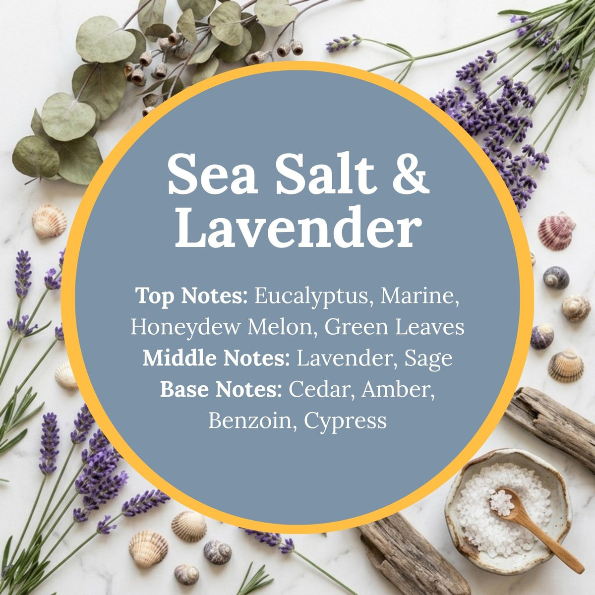 Sea Salt & Lavender scent infographic: top notes of eucalyptus, marine, honeydew melon, and green leaves; middle notes of lavender and sage; base notes of cedar, amber, benzoin, and cypress, over a calm flat-lay of lavender sprigs, sea salt, seashells, and driftwood.